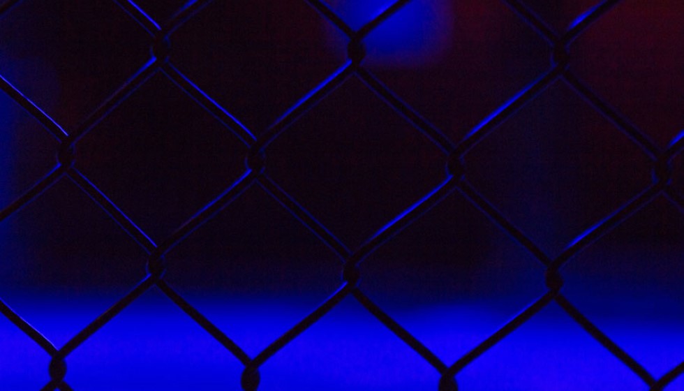 Ronda Rousey Shuts Down MMA Return Amid Neurological Concerns